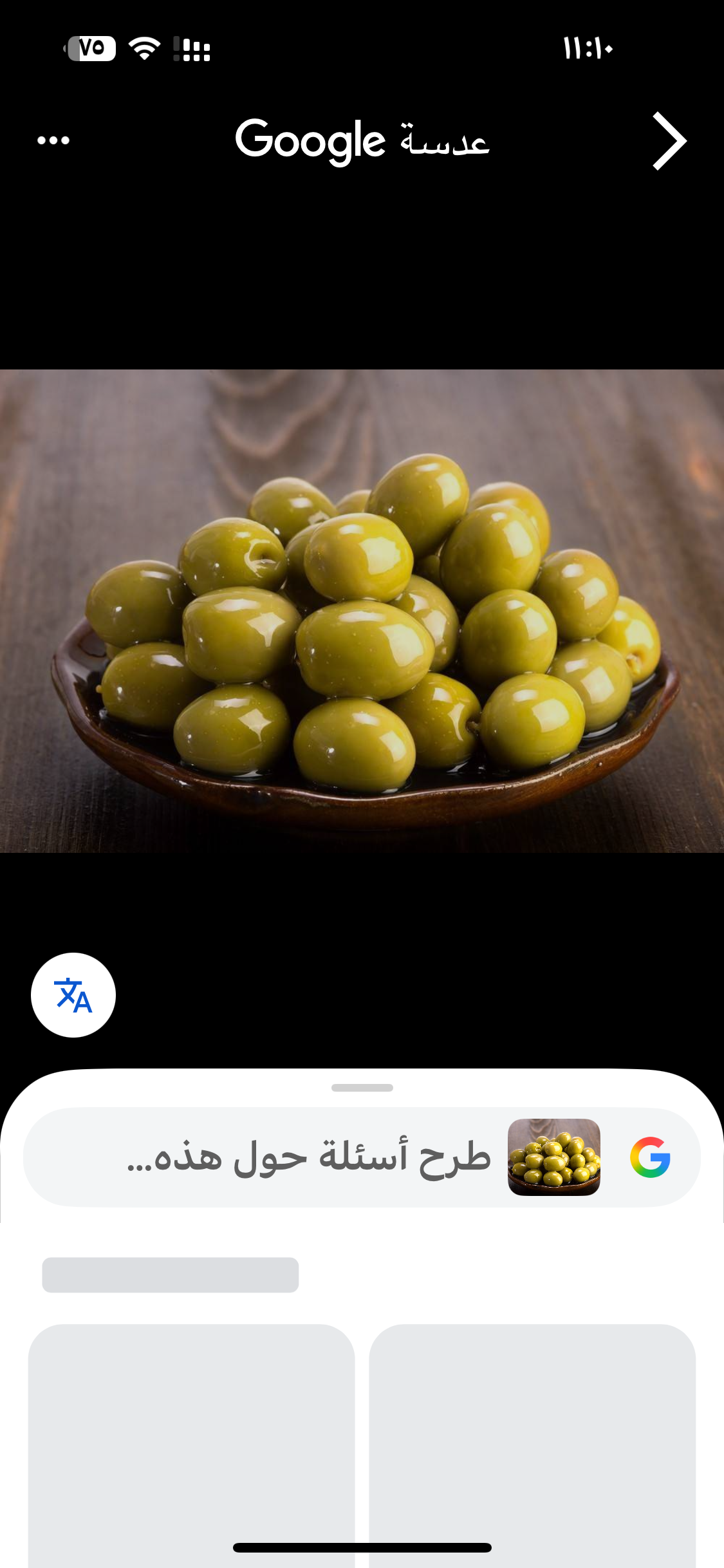 مكملات لوجبتك  / زيتون اخضر